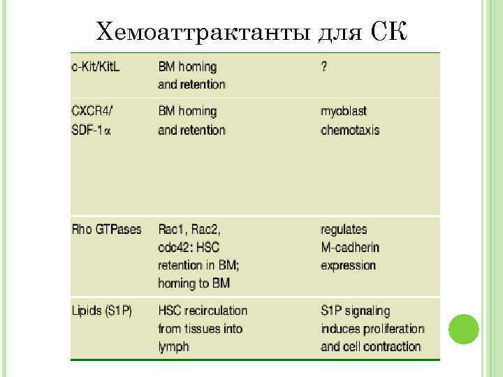 Хемоаттрактанты для СК 
