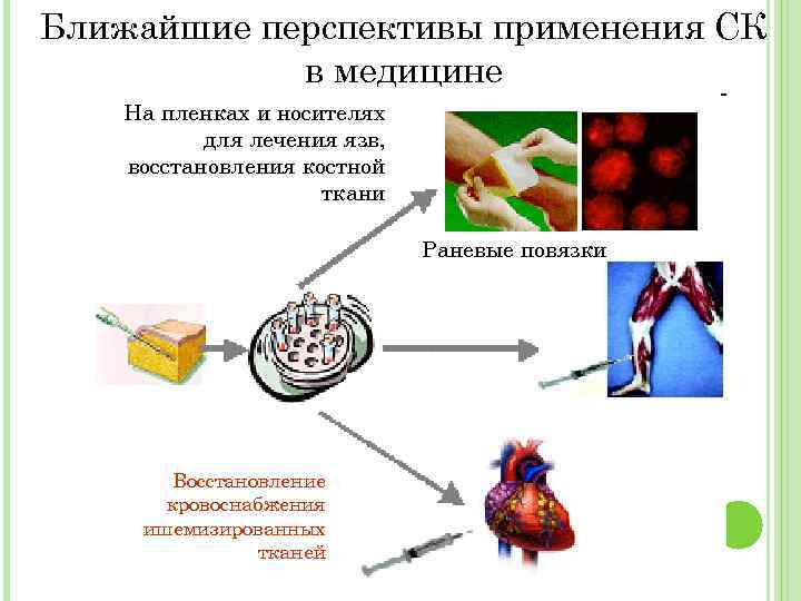 Карта клеточная терапия