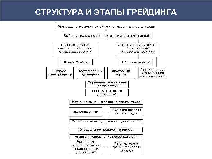 СТРУКТУРА И ЭТАПЫ ГРЕЙДИНГА 