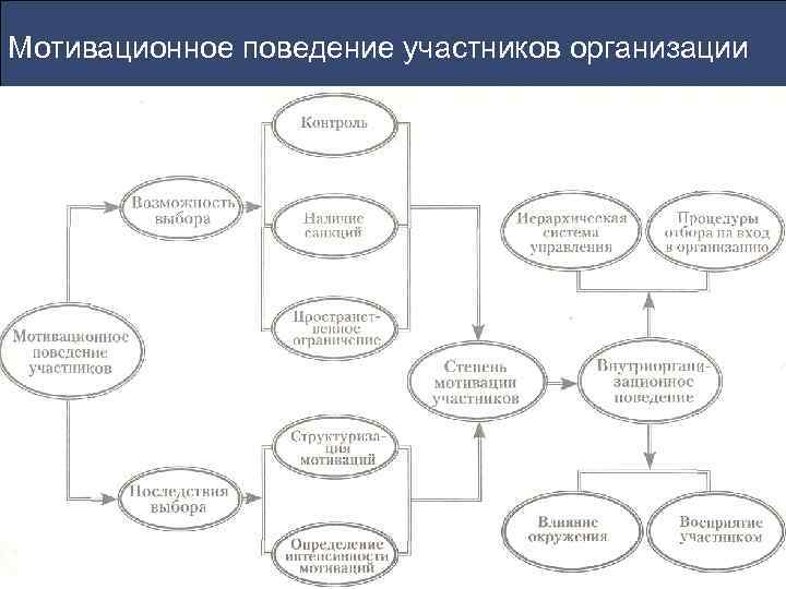 Мотивационное поведение участников организации 
