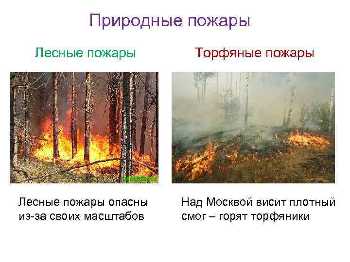 Природные пожары Лесные пожары опасны из-за своих масштабов Торфяные пожары Над Москвой висит плотный