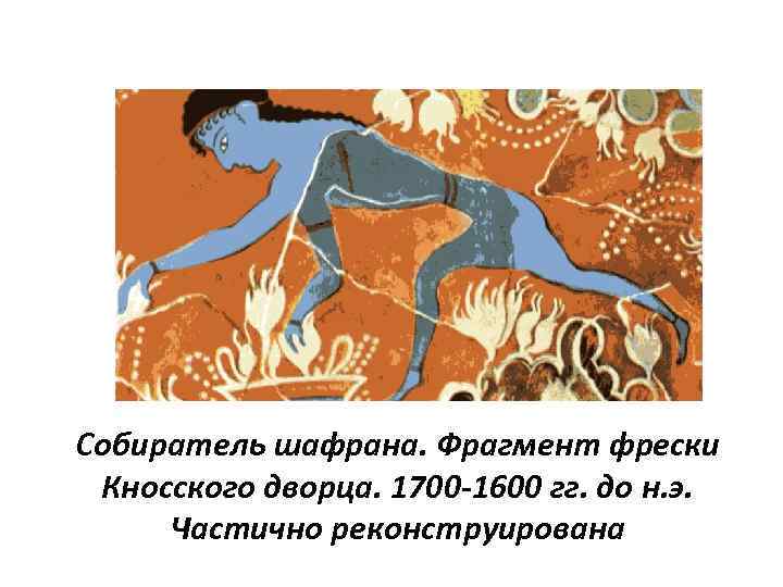 Собиратель шафрана. Фрагмент фрески Кносского дворца. 1700 -1600 гг. до н. э. Частично реконструирована