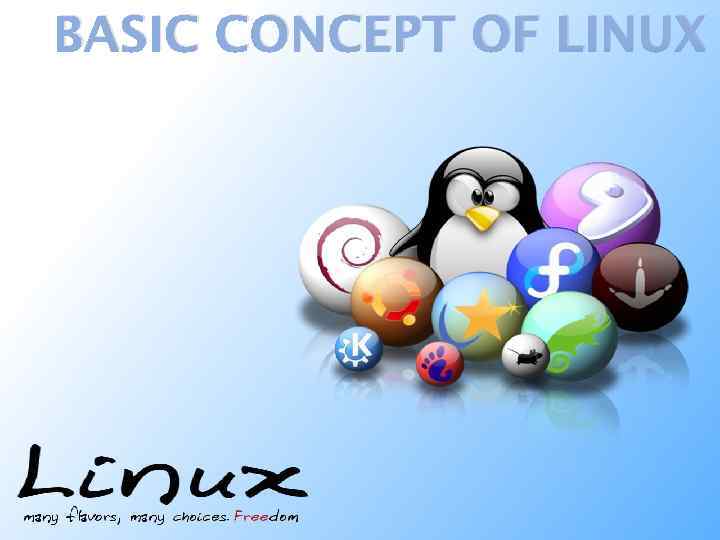 LINUX SOFTWARE Performed : GANI SYMBAT 141 g