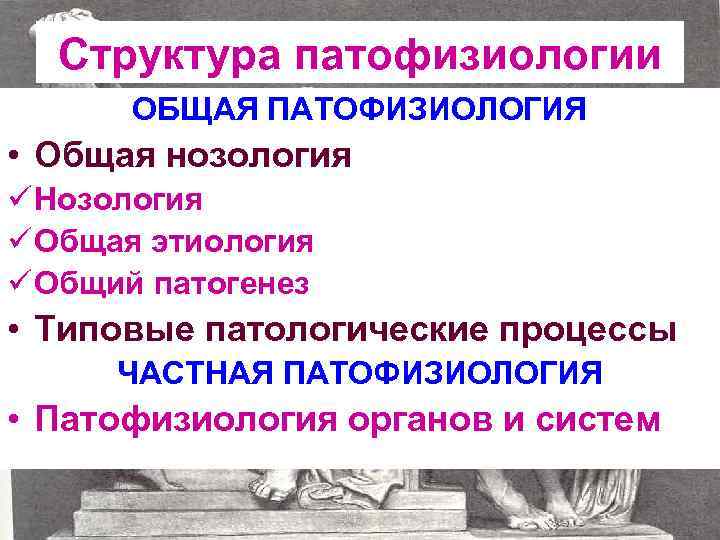 Структура патофизиологии ОБЩАЯ ПАТОФИЗИОЛОГИЯ • Общая нозология ü Нозология ü Общая этиология ü Общий