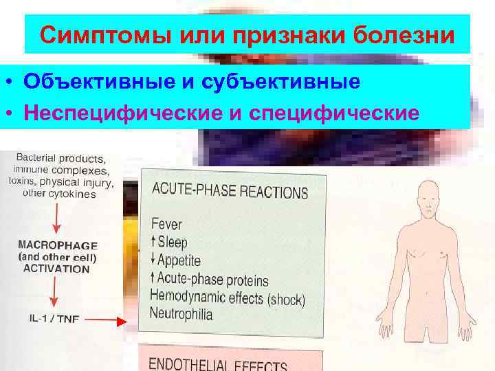Симптомы или признаки болезни • Объективные и субъективные • Неспецифические и специфические 