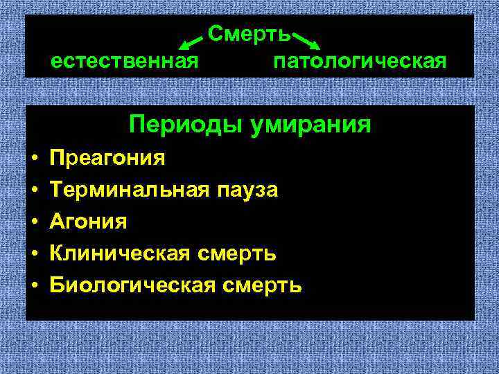 Этапы умирания. Периоды умирания. Естественная и патологическая смерть. Патофизиология умирания. Преагония агония клиническая смерть.