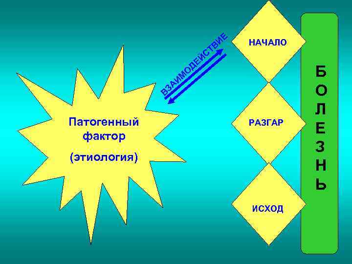 ИЕ В СТ Й НАЧАЛО ДЕ О ИМ А ВЗ Патогенный фактор РАЗГАР (этиология)