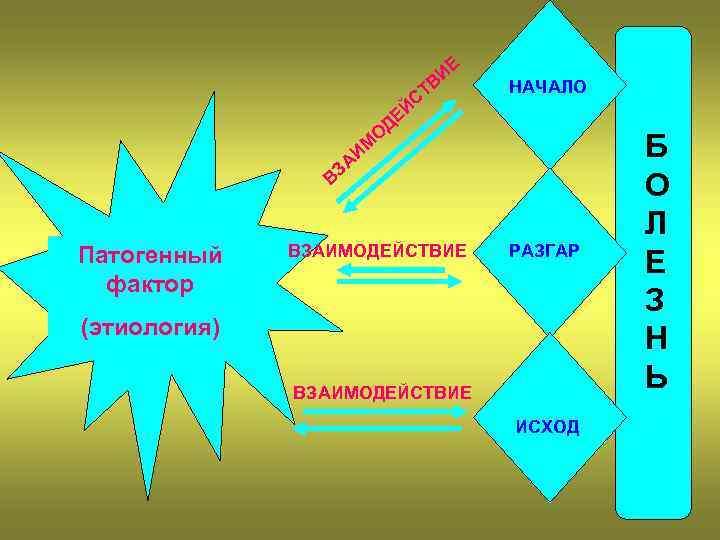 ИЕ В СТ Й НАЧАЛО ДЕ О ЗА ИМ В Патогенный фактор ВЗАИМОДЕЙСТВИЕ РАЗГАР