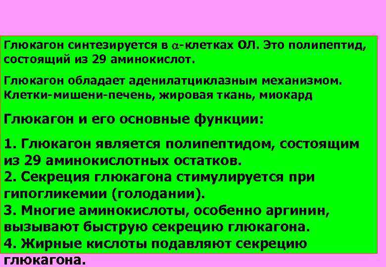 Глюкагон синтезируется в -клетках ОЛ. Это полипептид, состоящий из 29 аминокислот. Глюкагон обладает аденилатциклазным