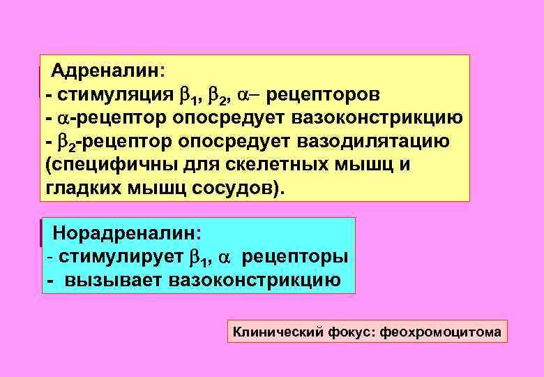 Адреналин: - стимуляция 1, 2, - рецепторов - -рецептор опосредует вазоконстрикцию - 2 -рецептор