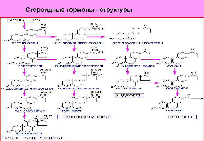 Стероидные гормоны –структуры 