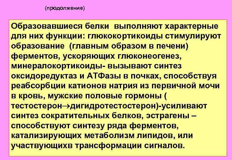 (продолжение) Образовавшиеся белки выполняют характерные для них функции: глюкокортикоиды стимулируют образование (главным образом в