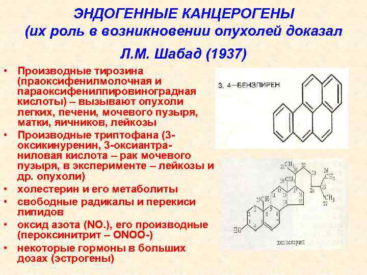 ЭНДОГЕННЫЕ КАНЦЕРОГЕНЫ (их роль в возникновении опухолей доказал Л. М. Шабад (1937) • Производные