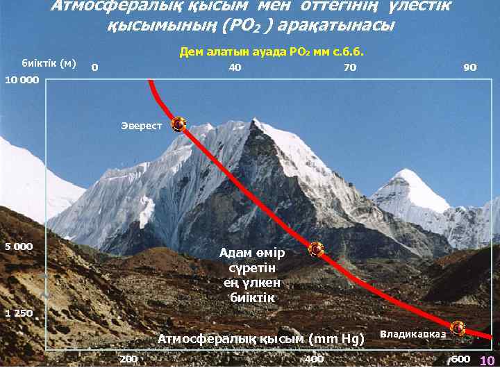 Атмосфералық қысым мен оттегінің үлестік қысымының (РО 2 ) арақатынасы биіктік (м) Дем алатын