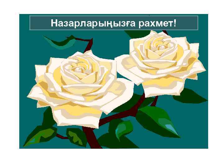 Назарларыңызға рахмет! 