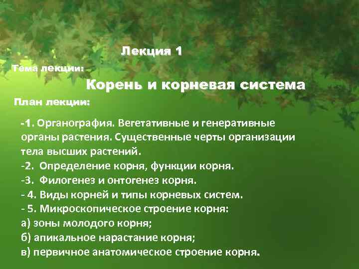 Лекция 1 Тема лекции: Корень и корневая система План лекции: -1. Органография. Вегетативные и