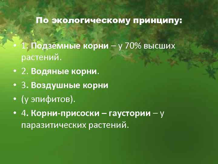 По экологическому принципу: • 1. Подземные корни – у 70% высших растений. • 2.