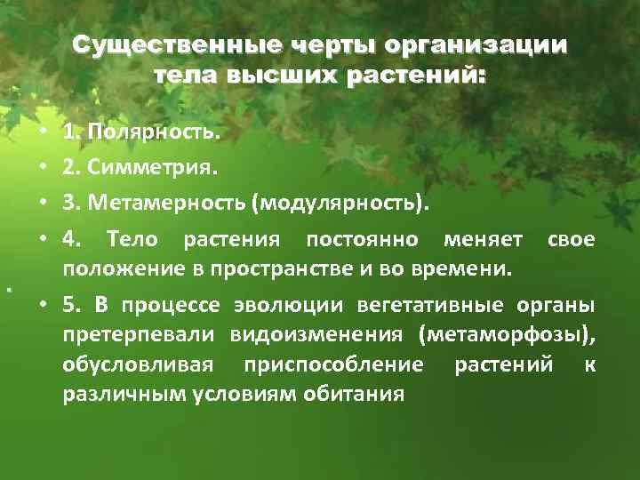 Существенные черты организации тела высших растений: 1. Полярность. 2. Симметрия. 3. Метамерность (модулярность). 4.