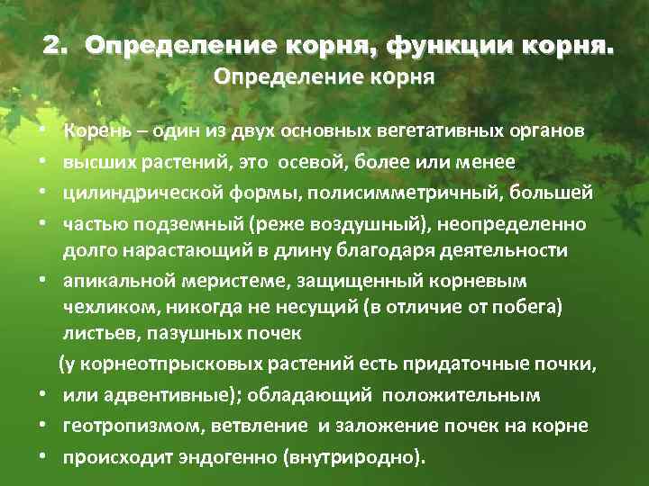 2. Определение корня, функции корня. Определение корня Корень – один из двух основных вегетативных