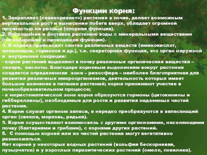 Функции корня: 1. Закрепляет ( «заякоривает» ) растение в почве, делает возможным вертикальный рост