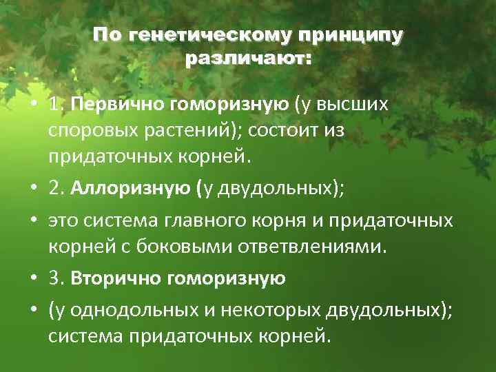По генетическому принципу различают: • 1. Первично гоморизную (у высших споровых растений); состоит из