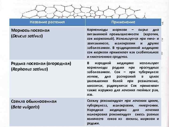 Использование корнеплодов в народной и традиционной медицине Название растения Применение Морковь посевная (Daucus sativus)