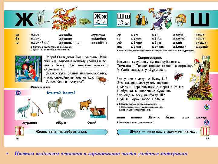  • Цветом выделены основная и вариативная части учебного материала 