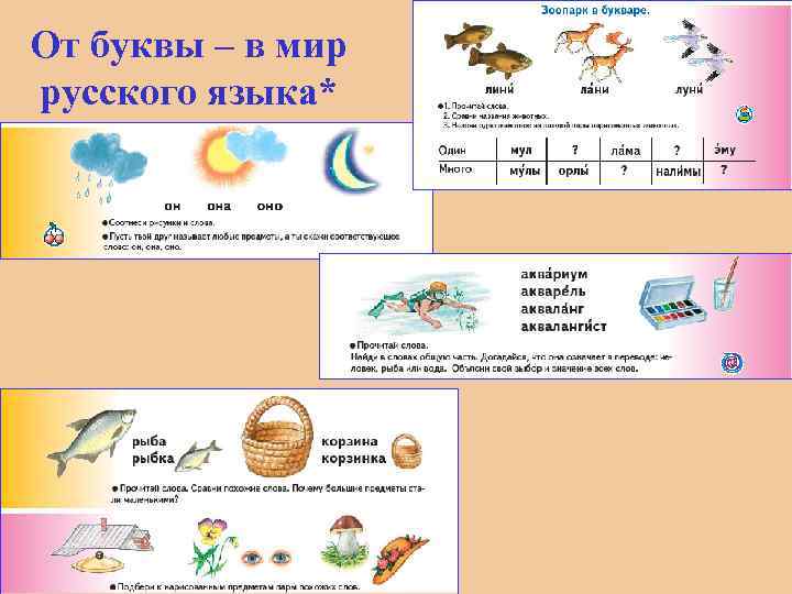 От буквы – в мир русского языка* 