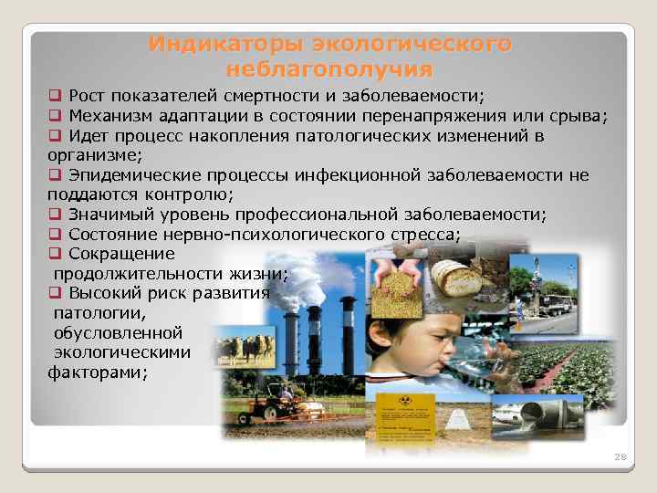 Индикаторы экологического неблагополучия q Рост показателей смертности и заболеваемости; q Механизм адаптации в состоянии