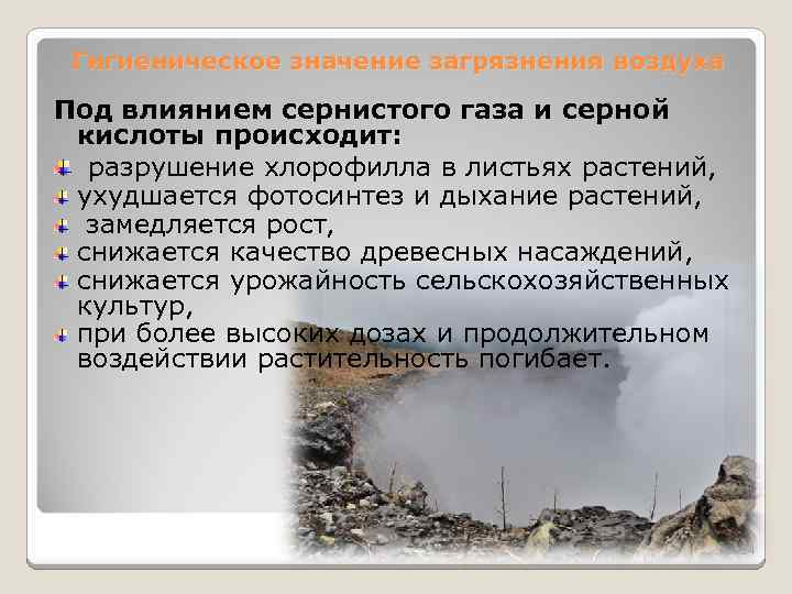 Гигиеническое значение загрязнения воздуха Под влиянием сернистого газа и серной кислоты происходит: разрушение хлорофилла
