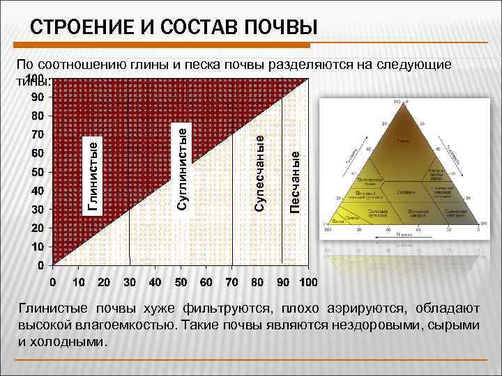 СТРОЕНИЕ И СОСТАВ ПОЧВЫ Песчаные Супесчаные Суглинистые Глинистые По соотношению глины и песка почвы