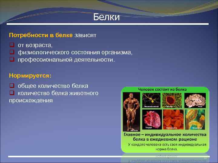 Белки Потребности в белке зависят q от возраста, q физиологического состояния организма, q профессиональной