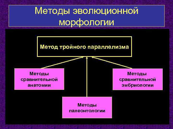 Методы эволюционной морфологии Метод тройного параллелизма Методы сравнительной анатомии Методы сравнительной эмбриологии Методы палеонтологии