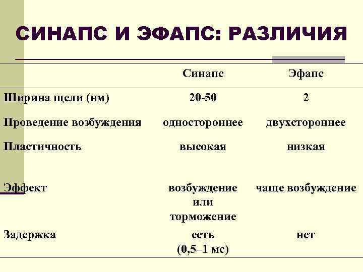 СИНАПС И ЭФАПС: РАЗЛИЧИЯ Синапс Ширина щели (нм) Проведение возбуждения Пластичность Эффект Задержка Эфапс