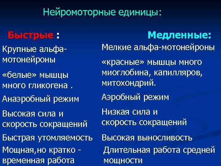 Нейромоторные единицы: Быстрые : Крупные альфамотонейроны Медленные: Мелкие альфа-мотонейроны «белые» мышцы много гликогена. «красные»