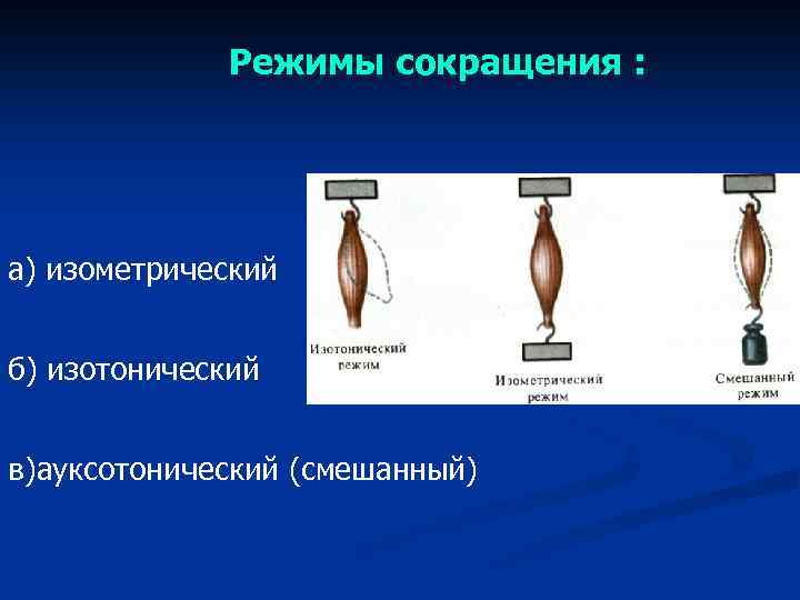 Режимы сокращения : а) изометрический б) изотонический в)ауксотонический (смешанный) 
