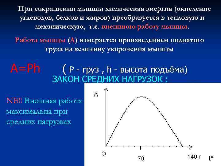 При сокращении мышцы химическая энергия (окисление углеводов, белков и жиров) преобразуется в тепловую и