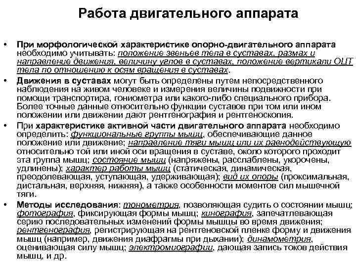 Работа двигательного аппарата • • При морфологической характеристике опорно-двигательного аппарата необходимо учитывать: положение звеньев