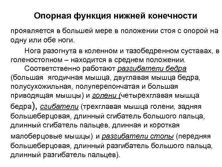 Опорная функция нижней конечности проявляется в большей мере в положении стоя с опорой на