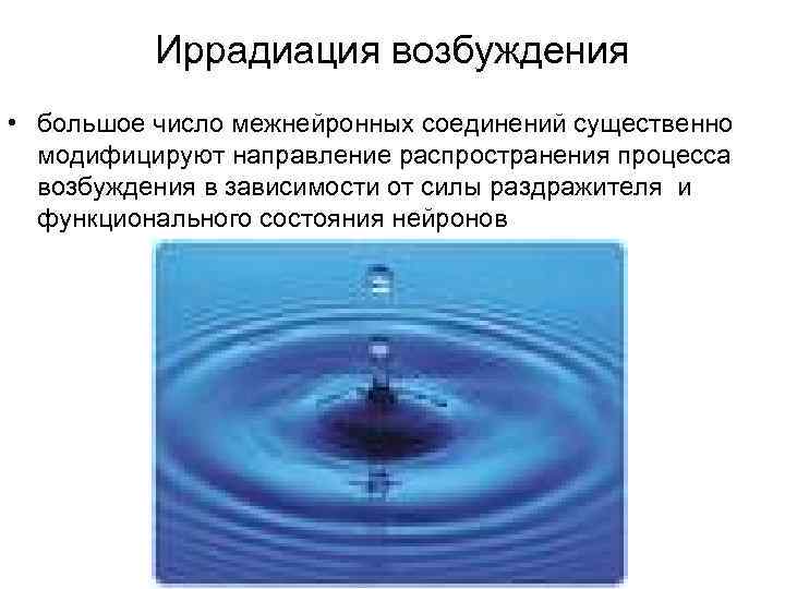 Иррадиация возбуждения это. Процесс иррадиации возбуждения характеризуется:. Иррадиация возбуждения.