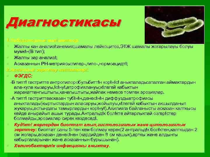 Диагностикасы 1. Лабораторлык мал!меттер: § Жалпы кан анализ!: анемия; шамалы лейкоцитоз, ЭТЖ шамалы жогарылауы