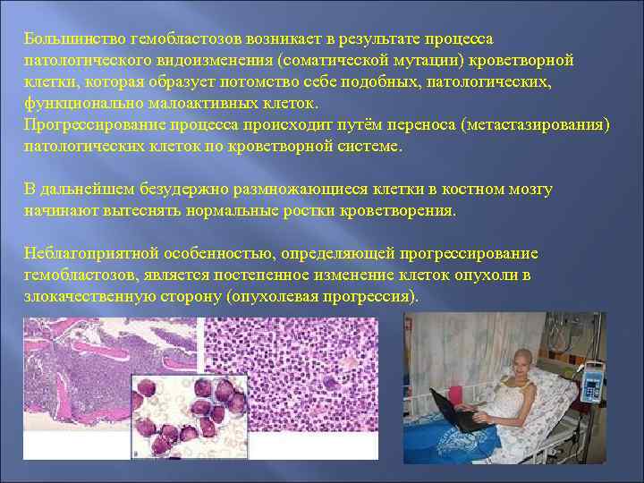 Большинство гемобластозов возникает в результате процесса патологического видоизменения (соматической мутации) кроветворной клетки, которая образует