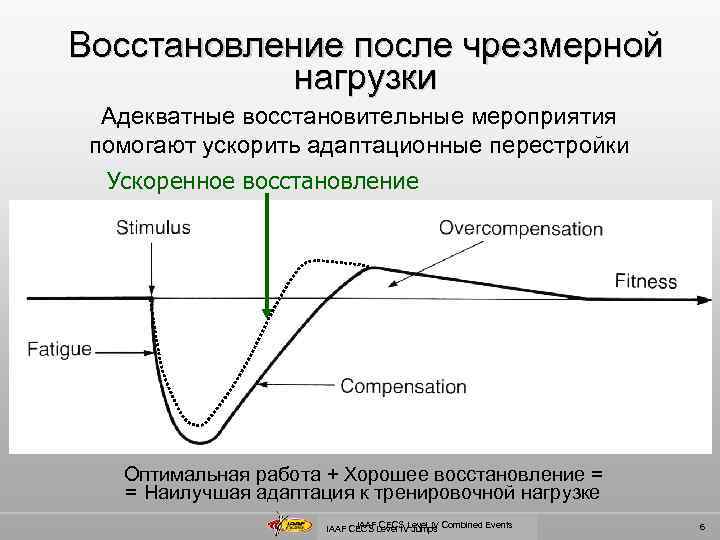 Восстановление после чрезмерной нагрузки Адекватные восстановительные мероприятия помогают ускорить адаптационные перестройки Ускоренное восстановление Оптимальная