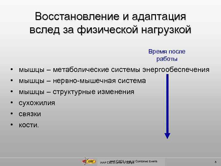 Восстановление и адаптация вслед за физической нагрузкой Время после работы • • • мышцы
