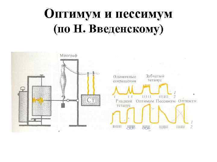 Оптимум и пессимум (по Н. Введенскому) 