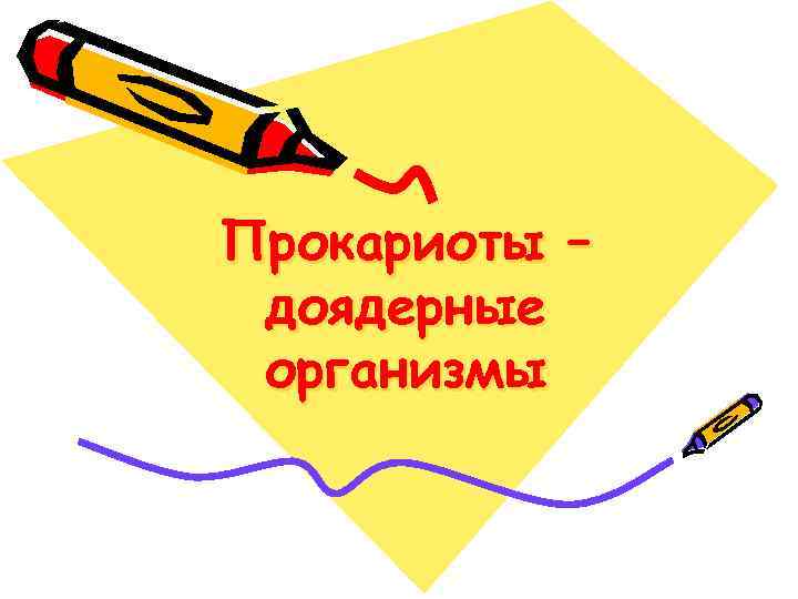 Прокариоты – доядерные организмы 