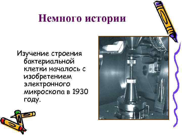 Немного истории Изучение строения бактериальной клетки началось с изобретением электронного микроскопа в 1930 году.
