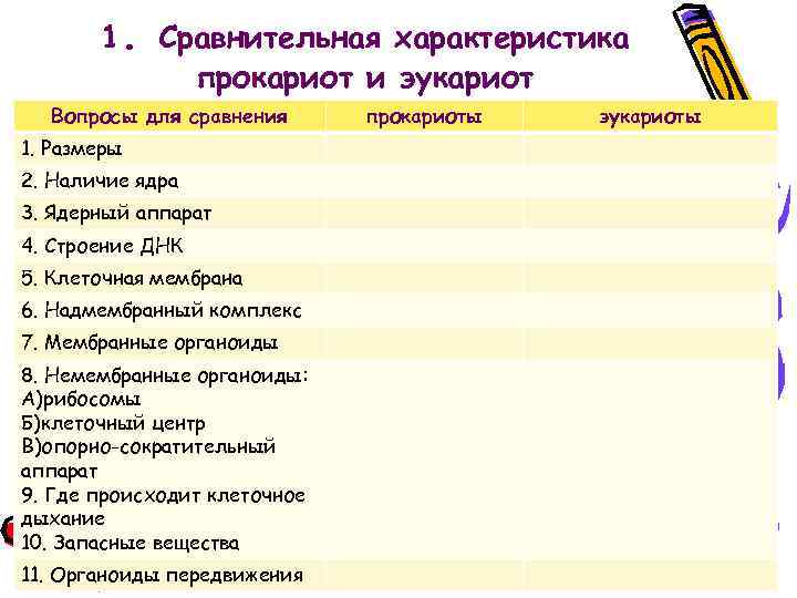 1. Сравнительная характеристика прокариот и эукариот Вопросы для сравнения 1. Размеры 2. Наличие ядра