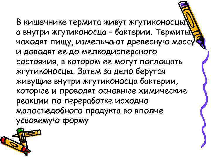 В кишечнике термита живут жгутиконосцы, а внутри жгутиконосца – бактерии. Термиты находят пищу, измельчают