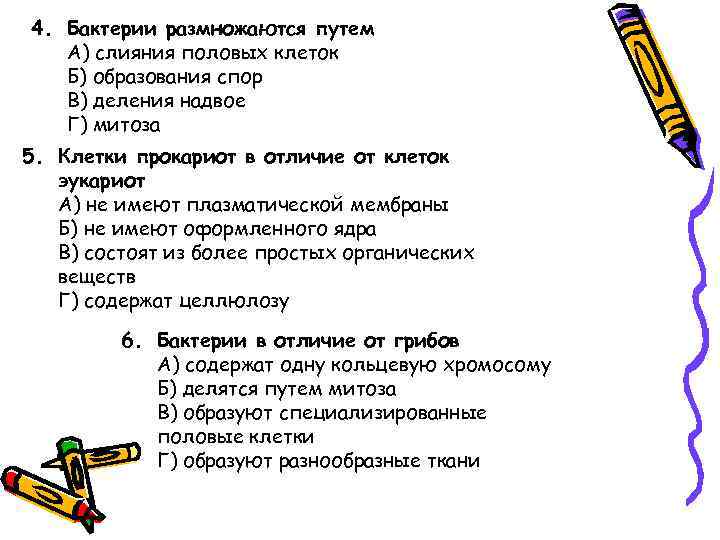 4. Бактерии размножаются путем А) слияния половых клеток Б) образования спор В) деления надвое